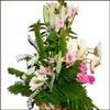 Humble Love - Click here to View more details about this Product